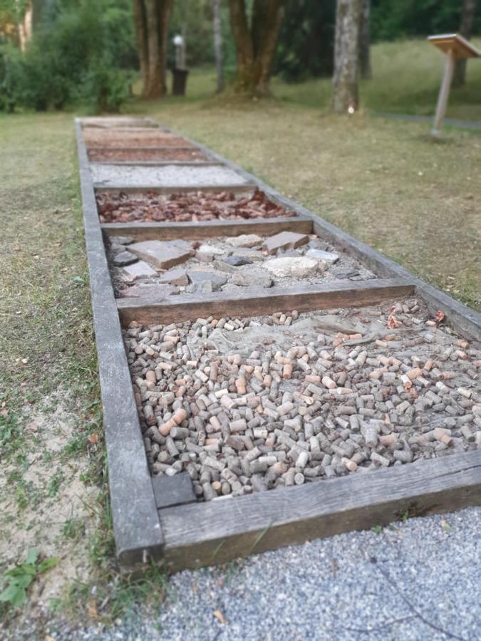 Modernisierte Ferienwohnung Naturseelen Mit Schwimmbad Und Sauna Braunlage Bagian luar foto